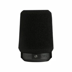 Online Shure A2WS