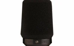 Online Shure A2WS