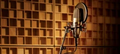 Cheap Shure KSM42 grey