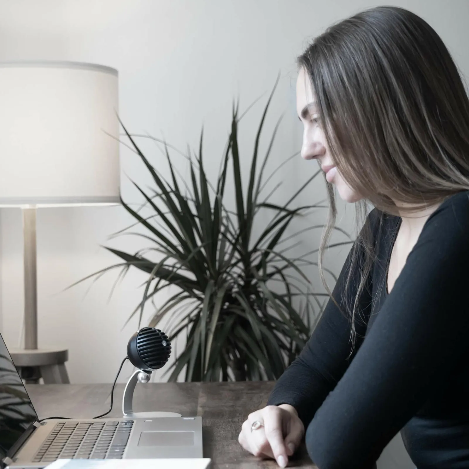 Hot Shure MV5C black