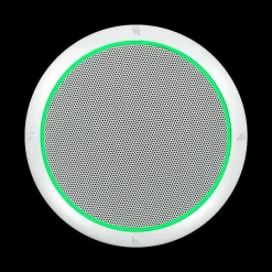 Online Shure MXA310