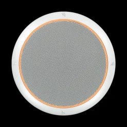 Online Shure MXA310