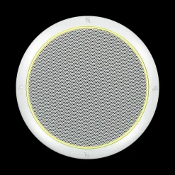 Online Shure MXA310