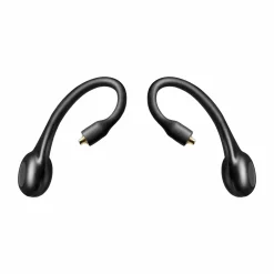 Discount Shure True Wireless Secure Fit Adapter Gen 2